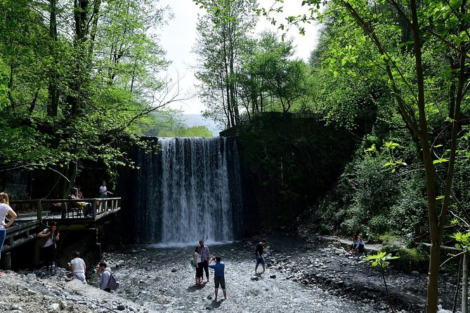 Private Day Trip From Istanbul to Lake Sapanca and Maşukiye Village - What your driver can and cannot do