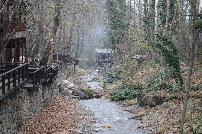 Private Day Trip From Istanbul to Lake Sapanca and Maşukiye Village - Who will get the most from this trip