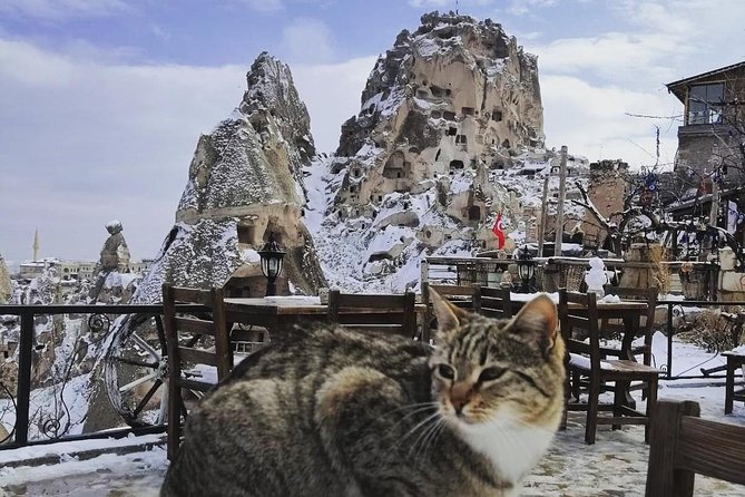 Private Day Trip to Cappadocia from Istanbul - Pigeon Valley and the useful pause