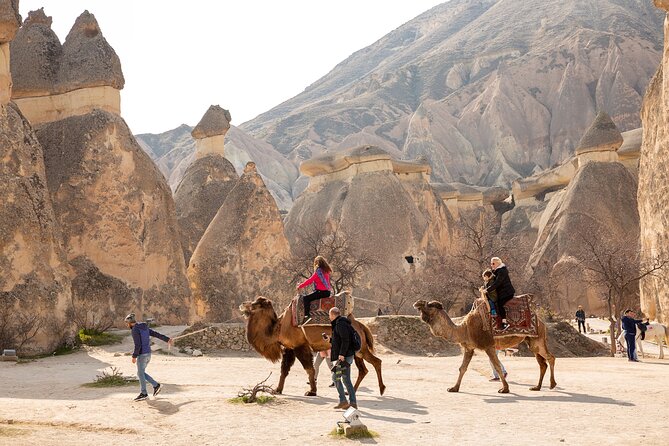 Private Day Trip to Cappadocia from Istanbul - Pasabag’s fairy chimneys and monk cells