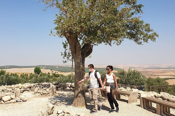 Private Göbeklitepe Tour from Istanbul - Şanlıurfa’s archaeology museum puts the site in context