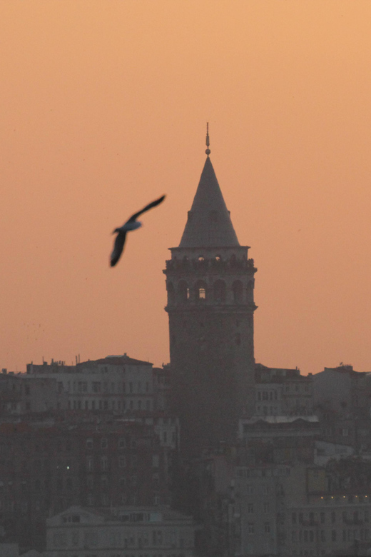 Private Guide in Istanbul Old City - The Hippodrome and the public life of old Istanbul