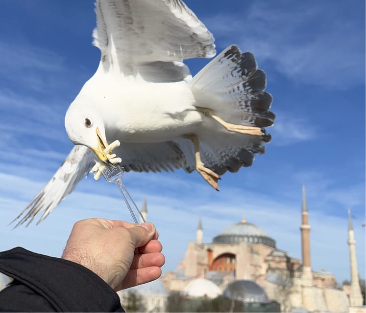 Private Guided Istanbul Luxury Tour (Tickets and Transfers) - Hagia Sophia with included entry
