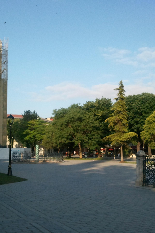 Private Istanbul Highlights Tour with a VIP Van - Bazaars and everyday city energy