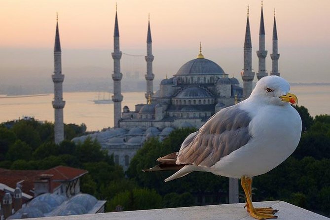 Private Istanbul Layover Tour From Airport - Sultanahmet Square and the Hippodrome: Istanbul in one glance
