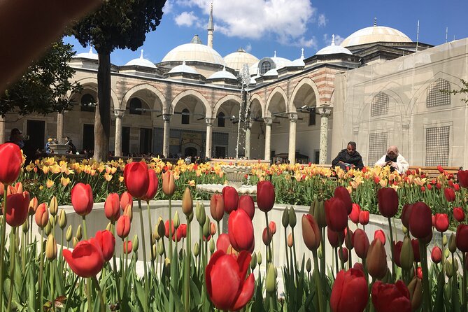 Private Istanbul Old City Walking Tour - Why a private walk works well in Istanbul’s Old City