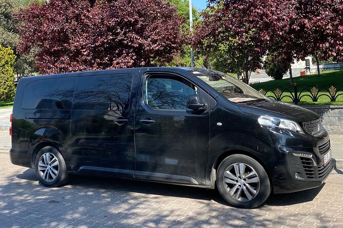 Private Minivan Transfer from Istanbul Airport - How professional is the driving?