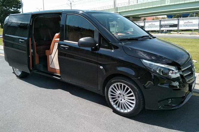 Private Transfer from Istanbul Hotels to Istanbul Airport (IST) - Who should book this transfer
