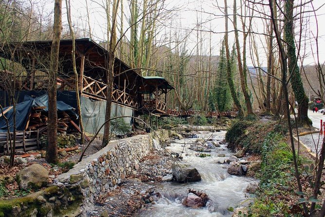 Sapanca And Masukiye Tour With Lunch - Full Day - What the $80.14 price really covers