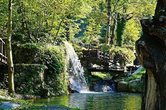 Sapanca Full Day Tour with Lunch - Maşukiye and the Camteras viewpoint