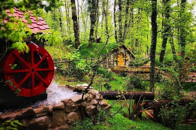 Sapanca Full Day Tour with Lunch - Darıca Zoo: an active opening stop