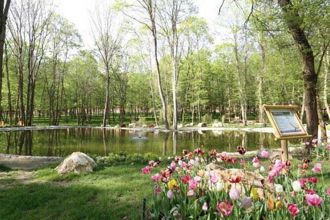 Sapanca Lake and Masukiye Tour from Istanbul - Choosing Between a Walk, Zipline, ATV, or Giant Swing