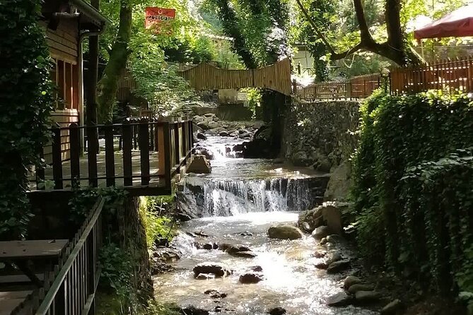Sapanca Lake Tour with Lunch From Istanbul - Mahmudiye lunch: welcome fuel in the middle of the day