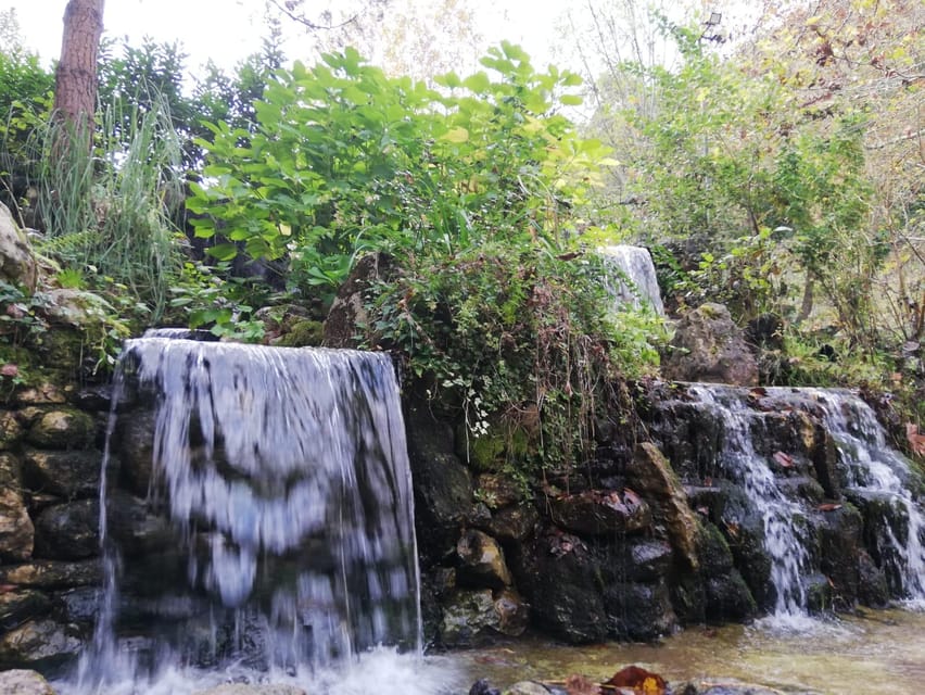 Sapanca & Masukiye Full-Day Tour with Lunch and Transfers - Key points at a glance