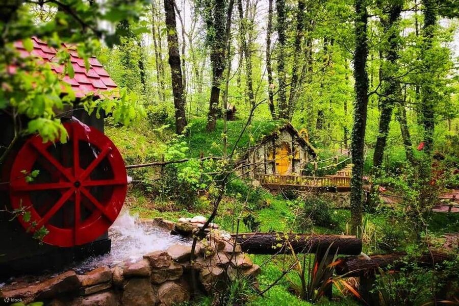 Sapanca & Masukiye Full-Day Tour with Lunch and Transfers - Who will get the most from this tour
