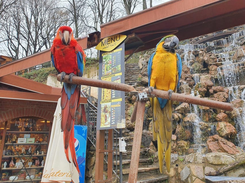 Sapanca Maşukiye tour from Istanbul - Who will enjoy this tour most
