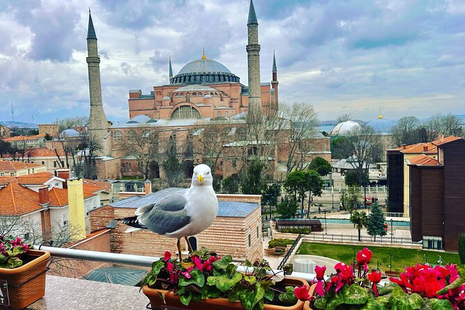 Skip Lines with Local Tour Guide Taha - Key things to know before booking
