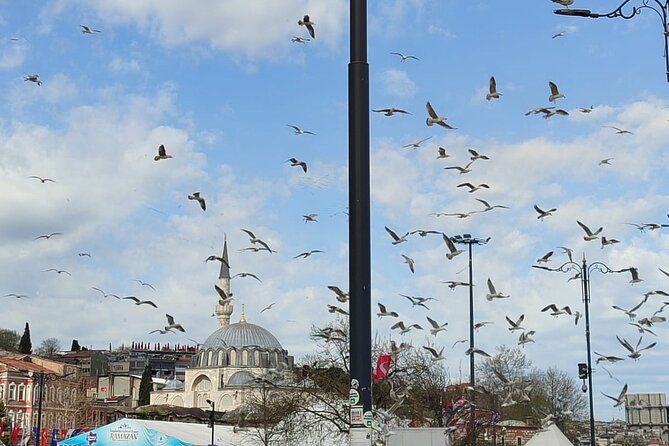 Skip Lines with Local Tour Guide Taha - The Blue Mosque and Ottoman design