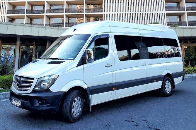 VIP Daily Transfer from the Istanbul Airport to Istanbul City - What happens after you land