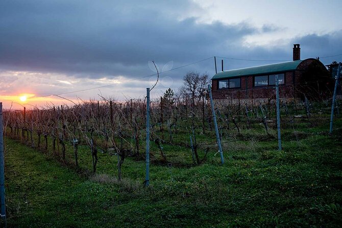 VIP Full Day Wineries Tour from Istanbul - Is $595.45 per person a fair price?