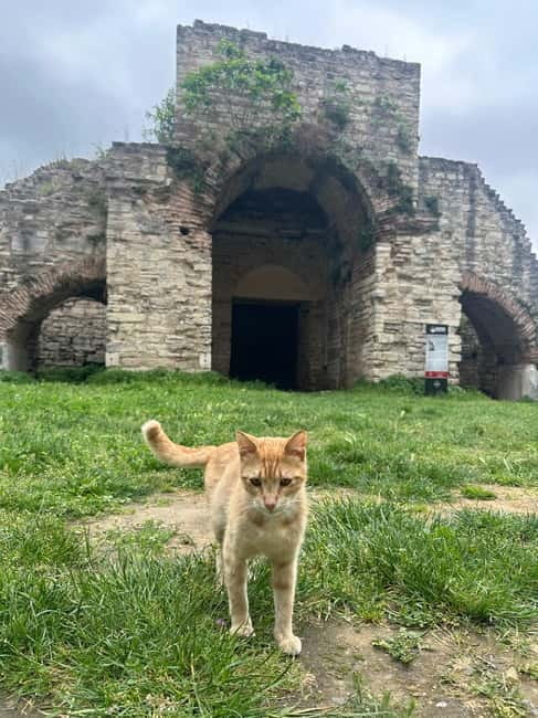 Walls of Contantinople and Blachernea Palace Tour - Getting the most from the short schedule