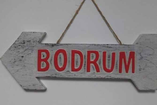 With Minivan Istanbul to Capadocia Bodrum Izmir - Comfort, cleanliness, and space inside the vehicle