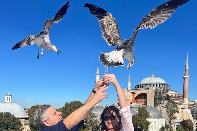 WONDERS of ISTANBUL: PRIVATE Full-Day Guided City Tour - Hagia Sophia, a building with several lives